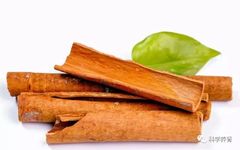 The Efficacy and Functions of Cinnamon: How to Consume It for Strengthening Yang and Its Dietary Contraindications!