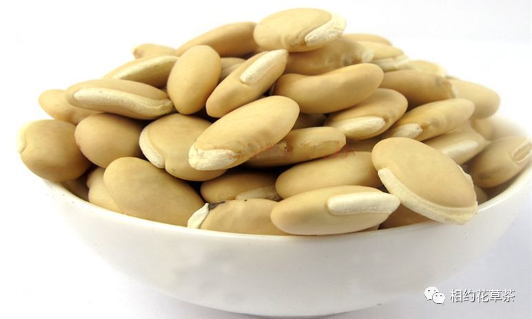 Health Benefits of Various Beans in Traditional Chinese Medicine (Part 2)