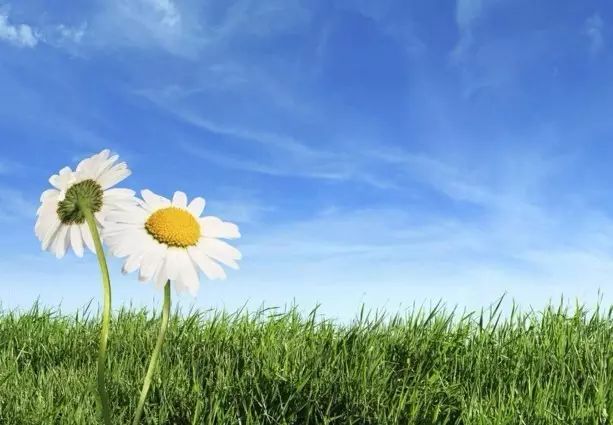 Daoist Secrets for Qi Enhancement: The Simplest Yet Effective Methods!