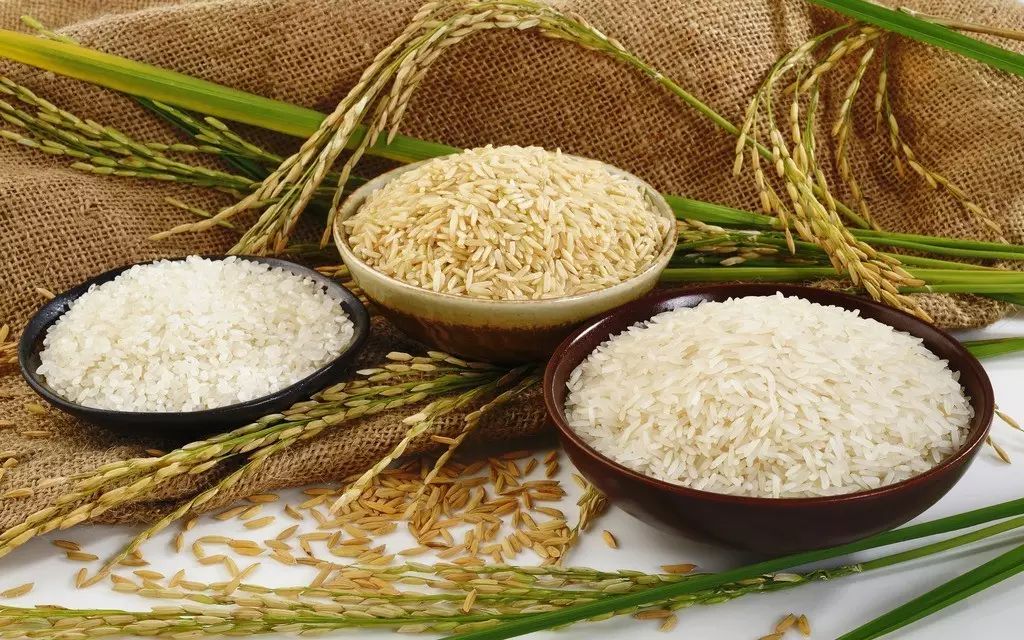 The Five Grains Health Preservation Method from the Huangdi Neijing: How to Use Grains for Health
