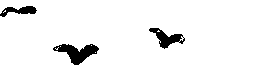 A Record of Blossoms in Medicine