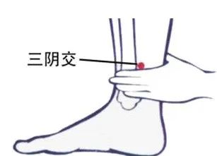 The Therapeutic Effects of Bloodletting in Traditional Chinese Medicine