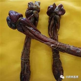 A Discussion on Warming Yang Herbs and Yang Supplementing Herbs