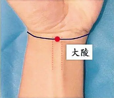 47 Unique Acupuncture Points Worth Seeing! (Collector's Edition)