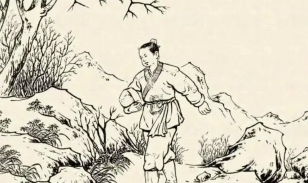 Understanding Traditional Chinese Medicine: Poria (Fu Ling)