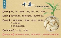 Gan Jiang (Dried Ginger): Warming the Middle Jiao and Invigorating the Spleen and Stomach