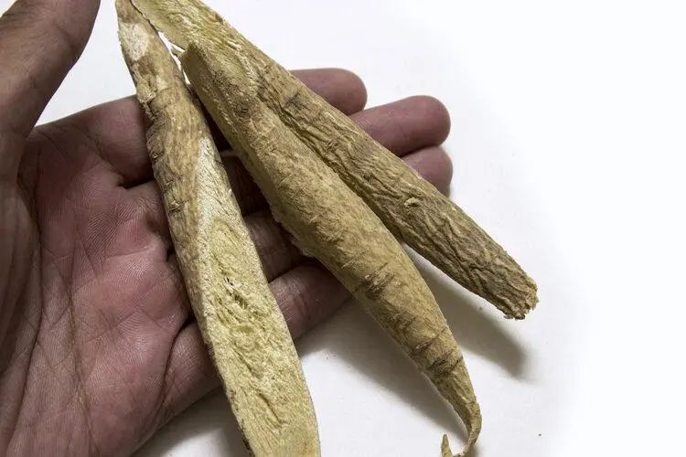 Does Drinking Astragalus Water Harm the Kidneys? Warning: These 4 Chinese Herbs Are Truly Harmful to the Kidneys