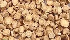 Nutritional Value and Benefits of Astragalus: Advantages for Women and Precautions
