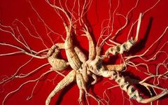 Understanding Ginseng Varieties: Red Ginseng, American Ginseng, and More