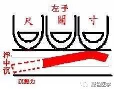 Summary of Pulse Diagnosis in Traditional Chinese Medicine