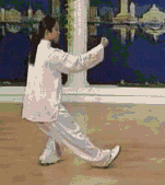 Comprehensive Guide to Tai Chi Movements: Exercise at Home!
