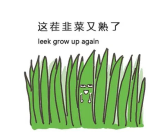 Is the Opportunity for Bai Shao (White Peony) Here?