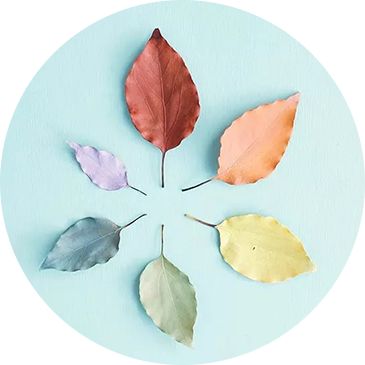 Understanding the Four Natures of Food in Traditional Chinese Medicine