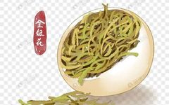 Traditional Chinese Medicine Health Tips: The Many Benefits of Honeysuckle Tea