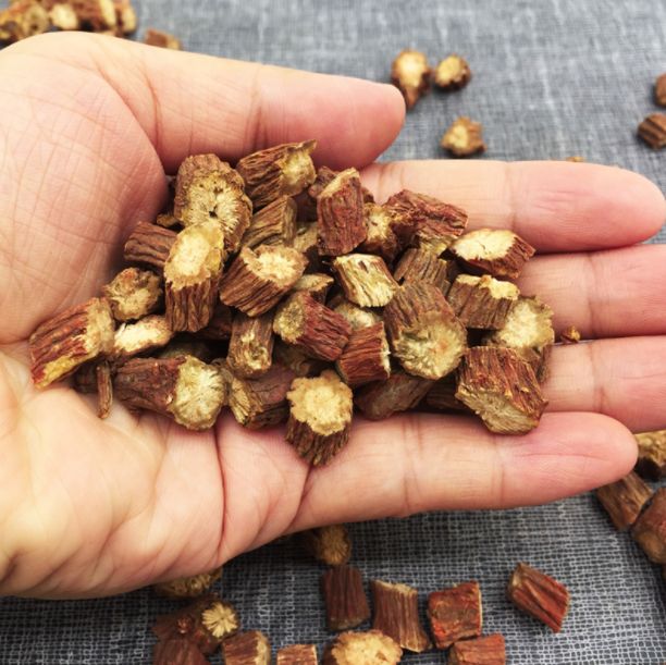 Dan Shen: A Herb with Benefits Comparable to Four Substances! Strengthening the Heart, Activating Blood Circulation, Promoting Tissue Regeneration, and Protecting the Brain - Affordable for Everyone!