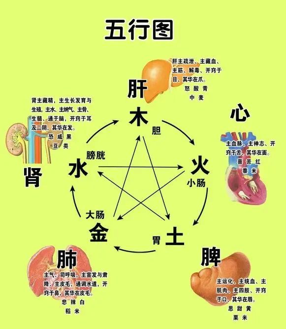 Differentiation of Qi Deficiency, Blood Deficiency, Yin Deficiency, and Yang Deficiency
