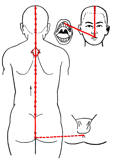 Comprehensive Summary of the Eight Extraordinary Meridians and Their Functions