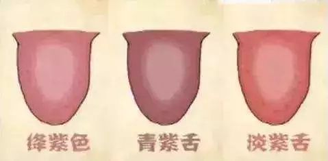 The Health of Your Body is Reflected on Your Tongue: Discover the Condition of Your Organs by Observing Your Tongue!