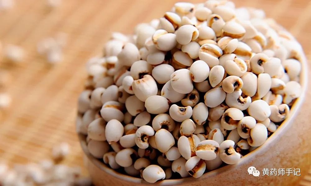 Coix Seed (Yi Yi Ren): Commonly Used for Spleen Deficiency, Dampness, Edema, Diarrhea, Prostatitis, and Colitis