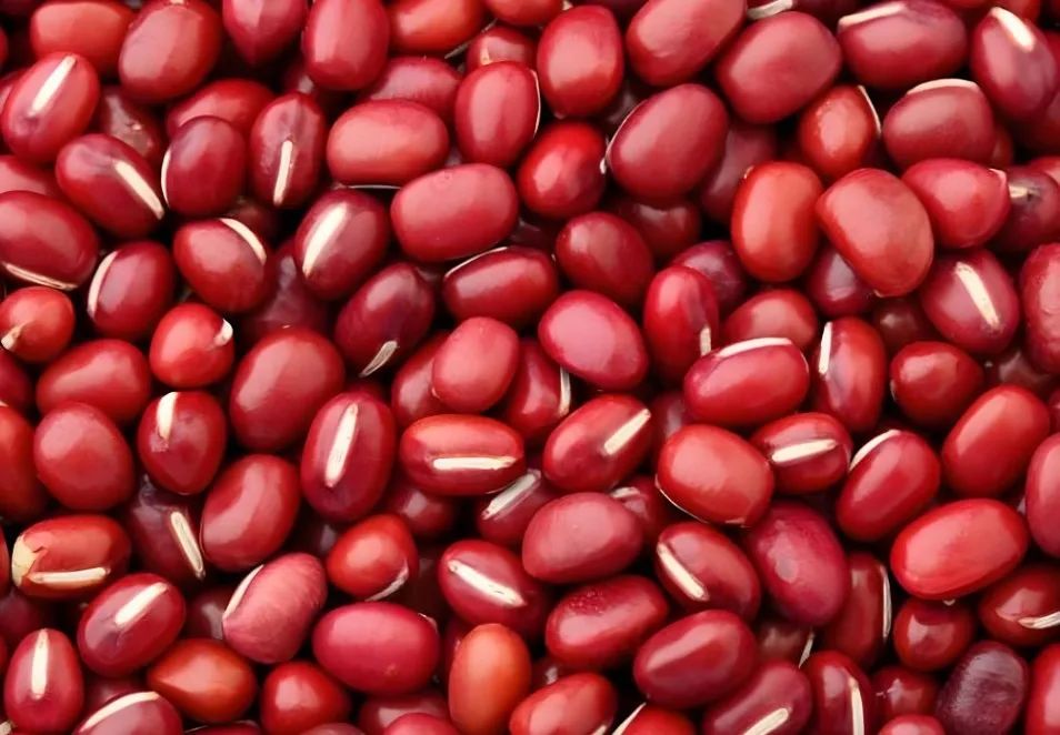 Nourishing with Grains: The Importance of Beans in Spring