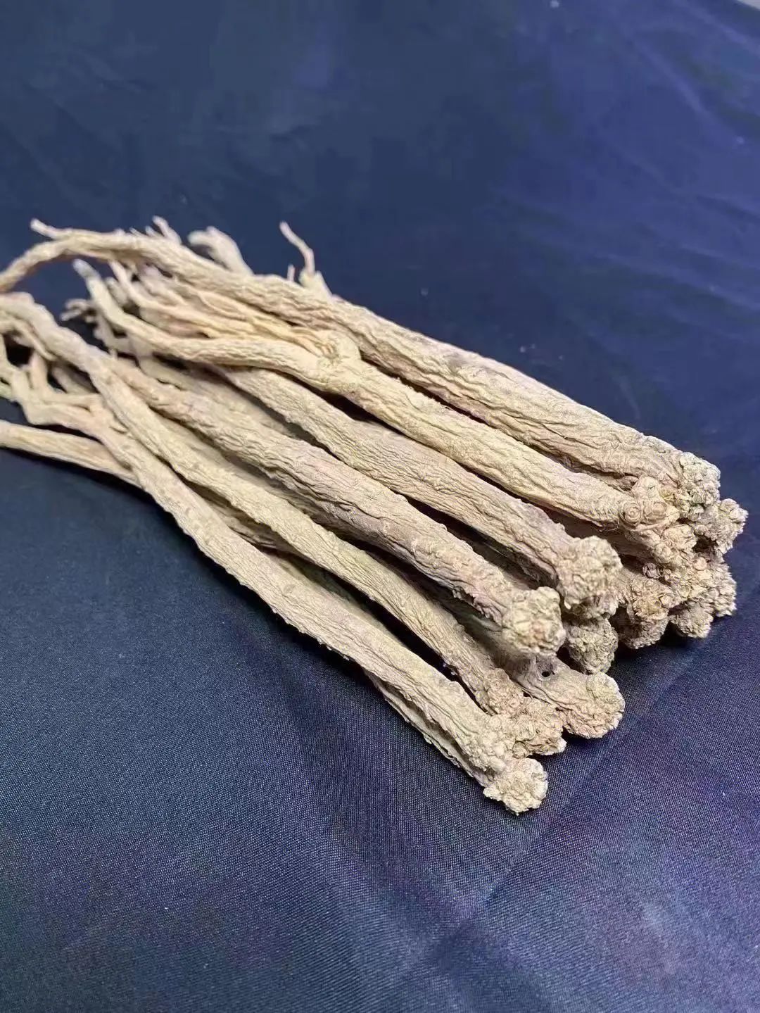 Cultivation of Medicinal Plants: A Focus on Codonopsis