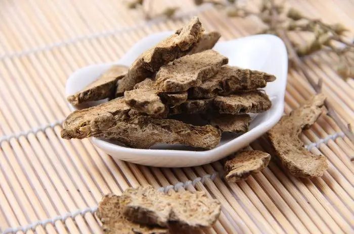 Traditional Chinese Medicine: Essential Knowledge About Cang Zhu (Atractylodes)