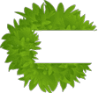 Shu Di Huang: A Beneficial Herb for the World, A Culinary and Medicinal Treasure