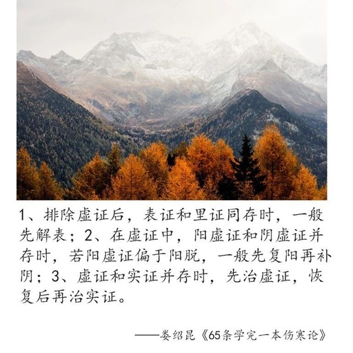 Linglan Daily Quote | How to Choose Between Deficiency and Excess Patterns When Both Are Present?