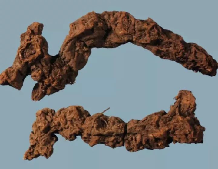 Learning About Traditional Chinese Medicine: Atractylodes (Cang Zhu)