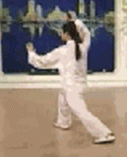 Comprehensive Guide to Tai Chi Movements: Exercise at Home!