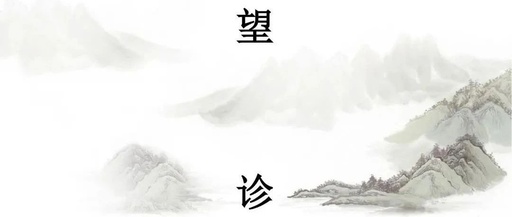 Observational Diagnosis in Traditional Chinese Medicine