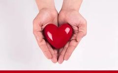 Best Foods for Improving Anemia: What to Eat for Optimal Blood Health