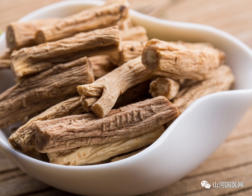 Codonopsis (Dang Shen): A Comprehensive Overview