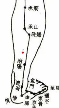 47 Unique Acupuncture Points Worth Seeing! (Collector's Edition)