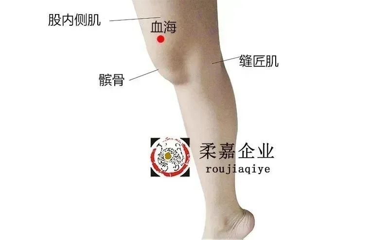 Blood Stasis Causes Various Illnesses: A TCM Approach to Unblock Blood Vessels and Eliminate Stasis!