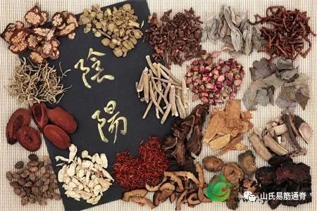 Understanding Yin Deficiency in Traditional Chinese Medicine