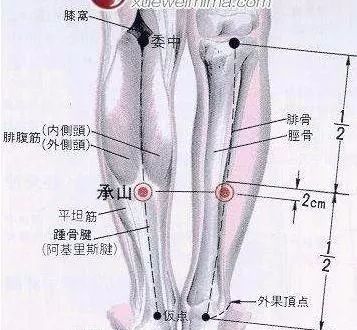 50 Common Acupuncture Points for Treating Various Ailments