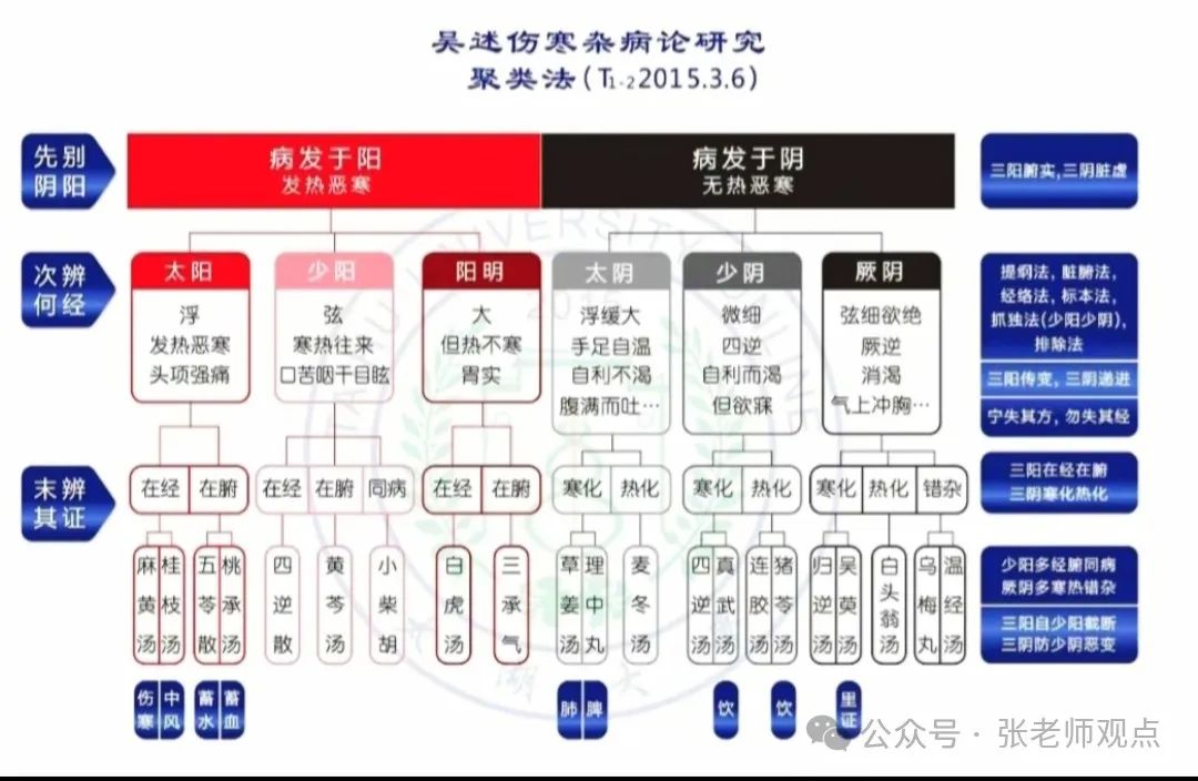 Differentiation of Eight Principles and Six Meridians (Liu Duzhou)