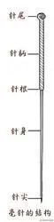 The Structure of Acupuncture Needles in Traditional Chinese Medicine