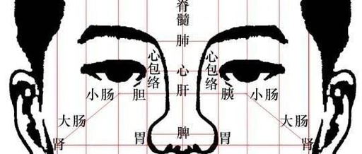 Observing Changes in the Five Organs through Facial Diagnosis