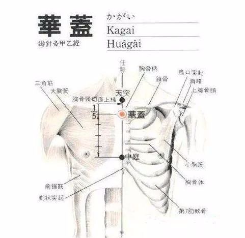 50 Common Acupuncture Points for Treating Various Ailments