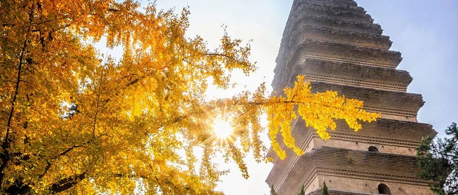Autumn Equinox: A Key Period for Yin-Yang Balance! Nourish Both Yin and Yang with a Beautiful Soup