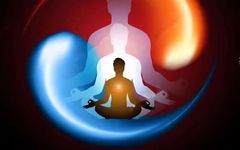 The Imbalance and Harmony of Yin and Yang Qi in the Human Body