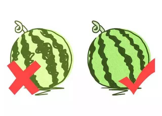 Understanding Fruits in TCM: Choosing the Right Ones for Your Constitution