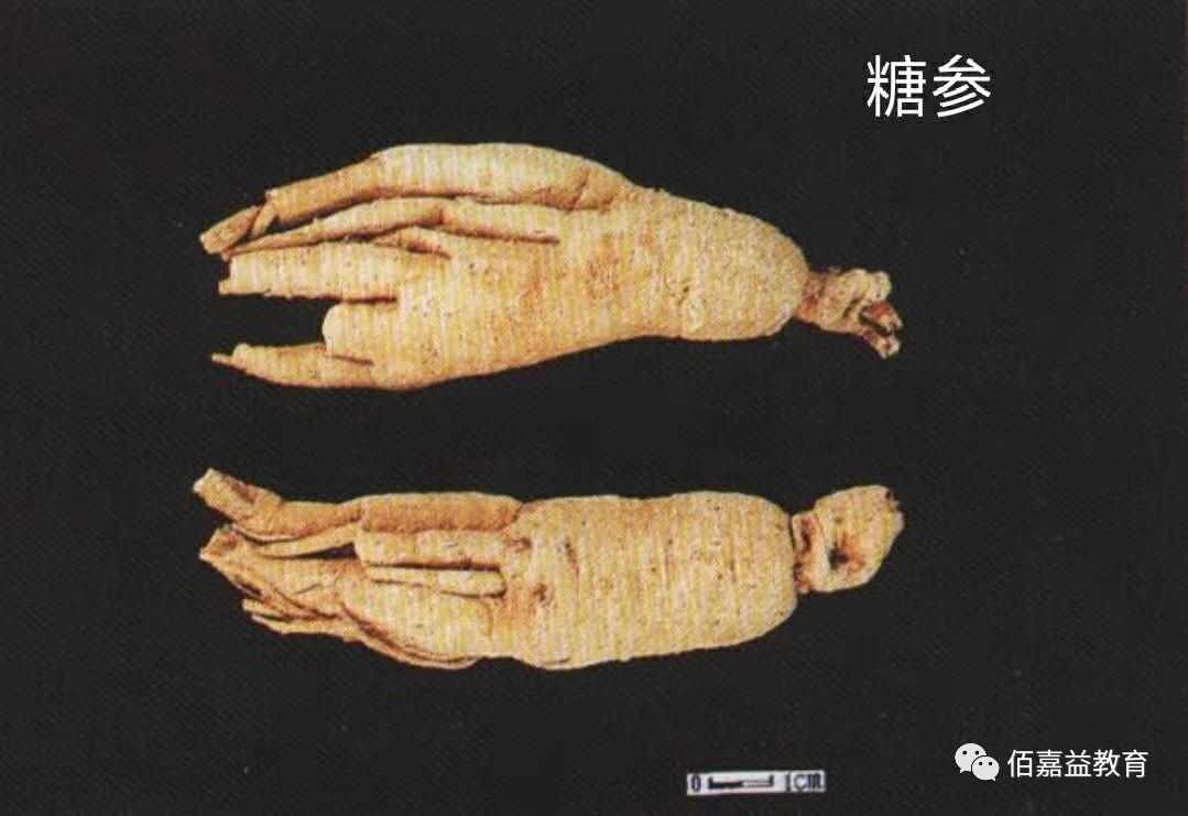 How to Distinguish Genuine from Fake Ginseng