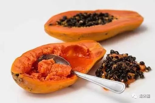30 Dietary Therapy Recipes