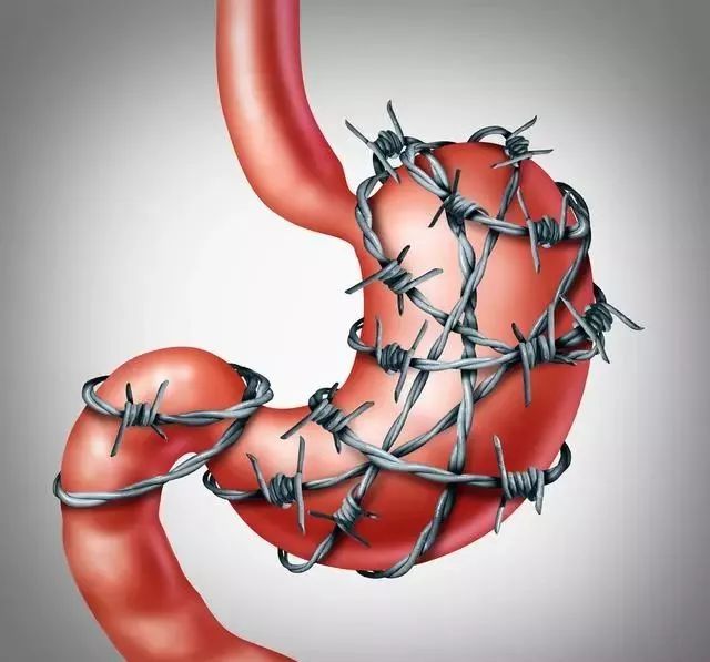What Traditional Chinese Medicines Are Effective for Spleen and Stomach Deficiency, Damp-Heat, and Weakness?