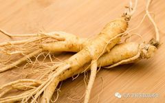 Beware of Ginseng: The Hidden Dangers of Improper Use