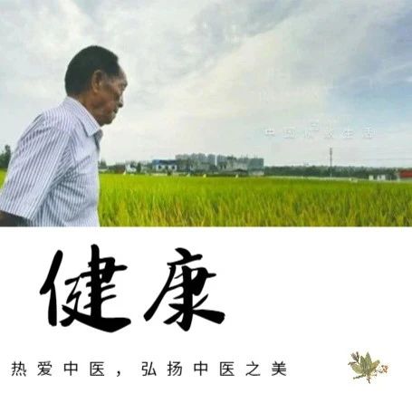 Introduction to the Foundations of Traditional Chinese Medicine: A Clear Overview of the Twelve Meridians Worth Keeping for Ten Years!