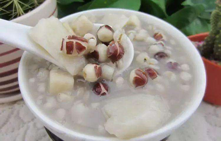 The Charm of Traditional Chinese Medicine | Poria (Fuling)